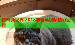 热辣新视界 2018年香蕉视频精彩回顾