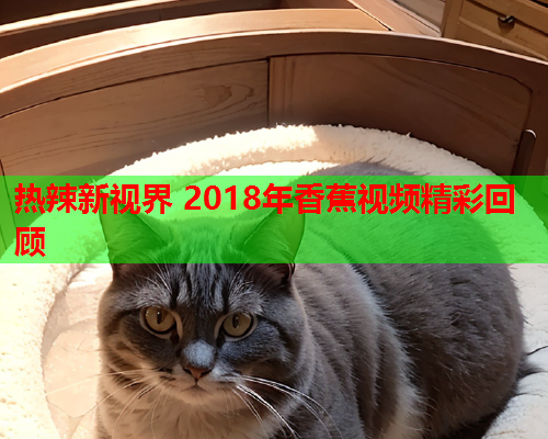 热辣新视界 2018年香蕉视频精彩回顾  第1张